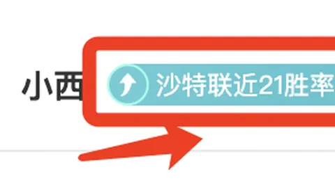 鹈鹕客场挑战火箭：专家预测及质合分析